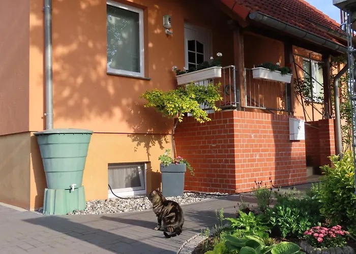 Ferienhaus Sava
