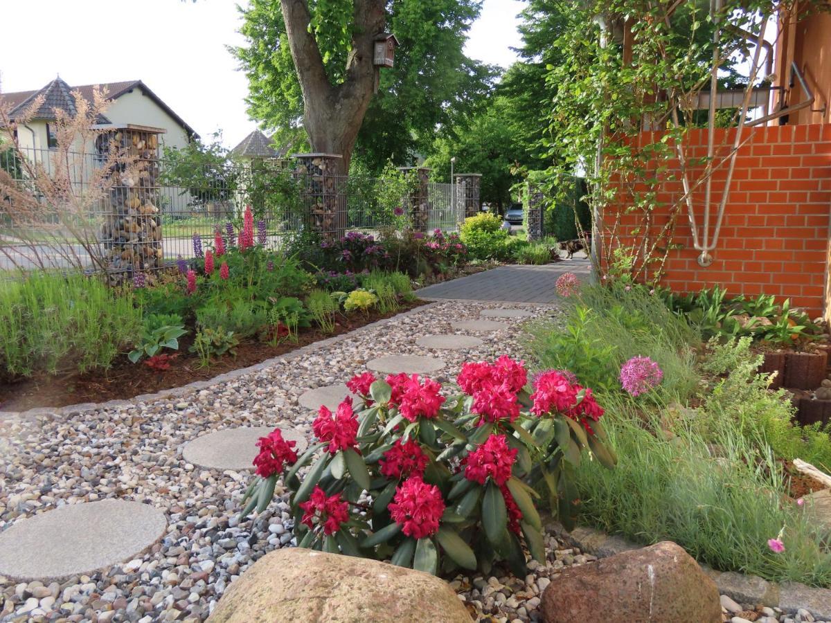 Holiday home Sava Garz (Usedom)